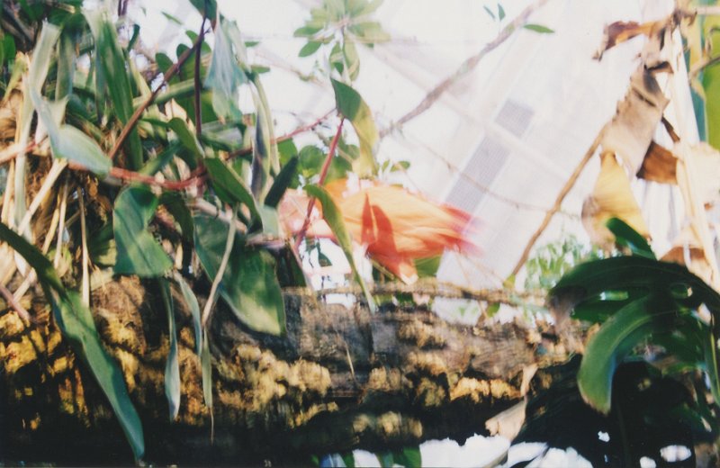 019-Tropical Forest in the Aquarium.jpg